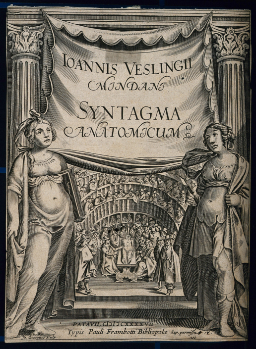 Öffentliche Zergliederung im Anatomischen Theater von Padua, Titelkupfer von Giovanni Georgi aus Johann Veslings Schrift Syntagma anatomcum, 1647