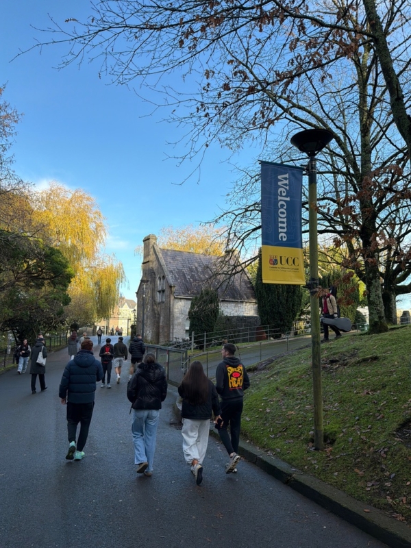 2C281A8E-0957-4896-862D-D7AC73EC50F5_1_105_c