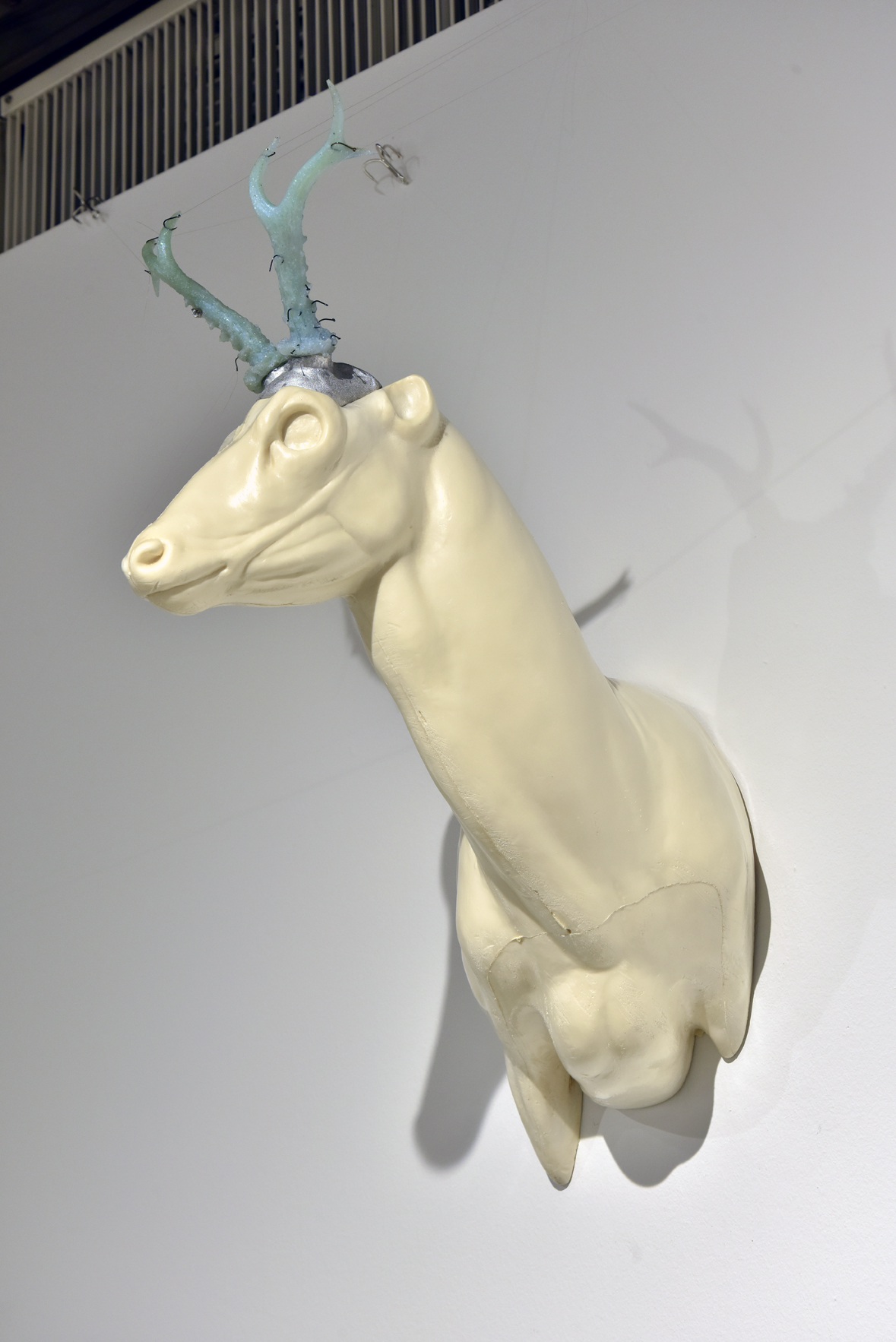 Niels Gössel SPECTRE HIDE 2026 Detail KGI_3968